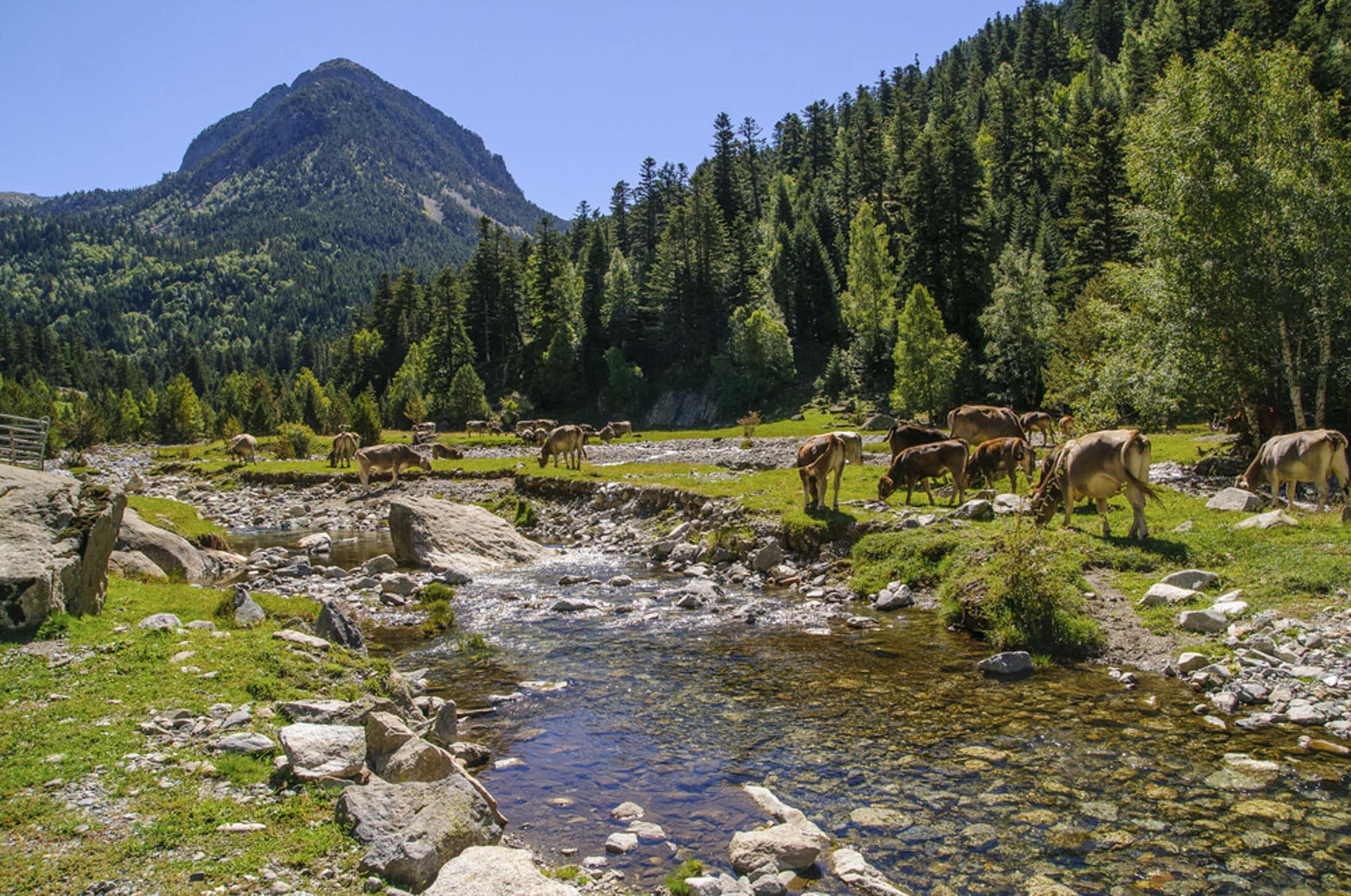 Destinos naturales que visitar en julio: Aigüestortes