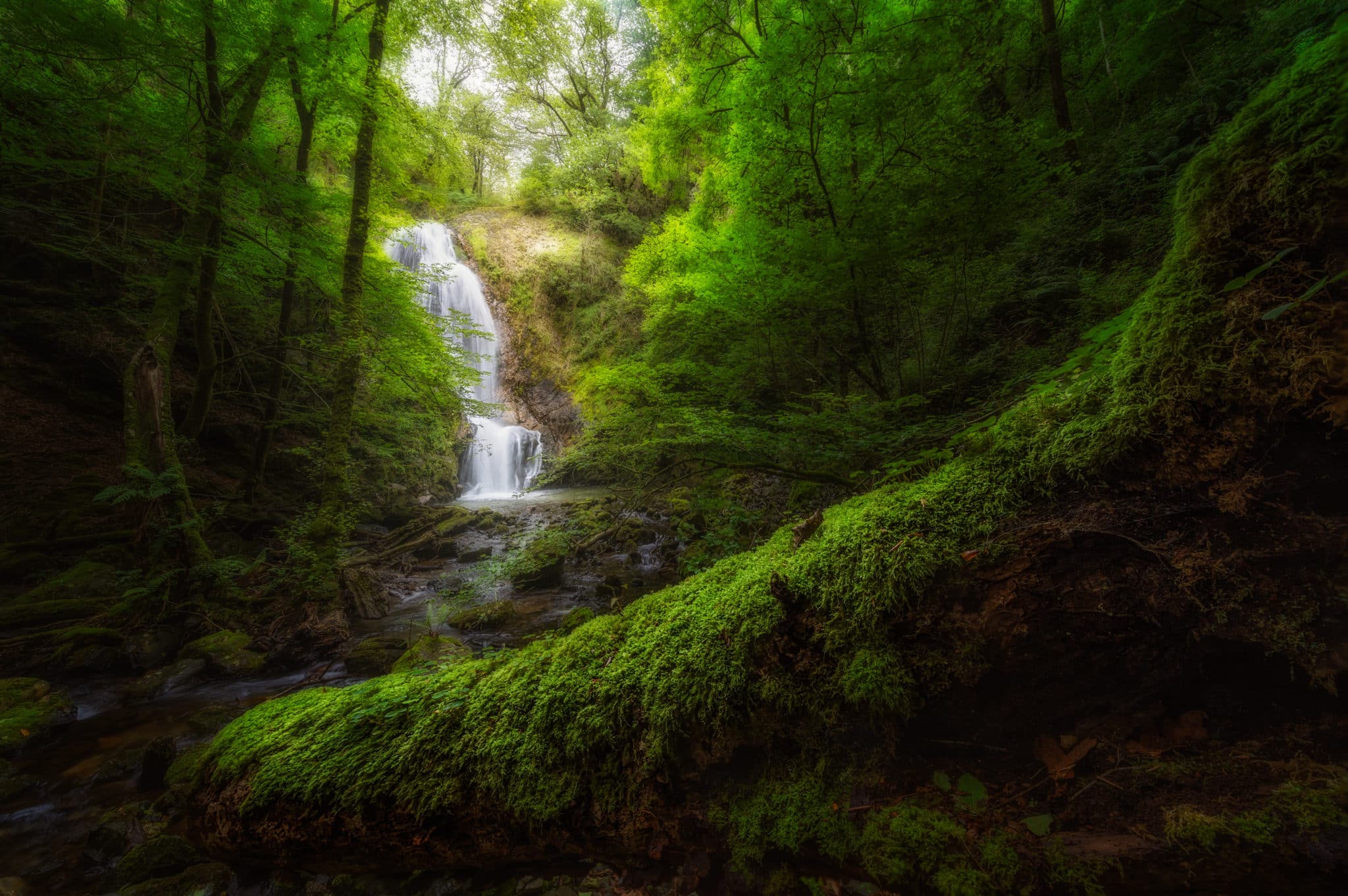 Cascada erroiarri en artikutza