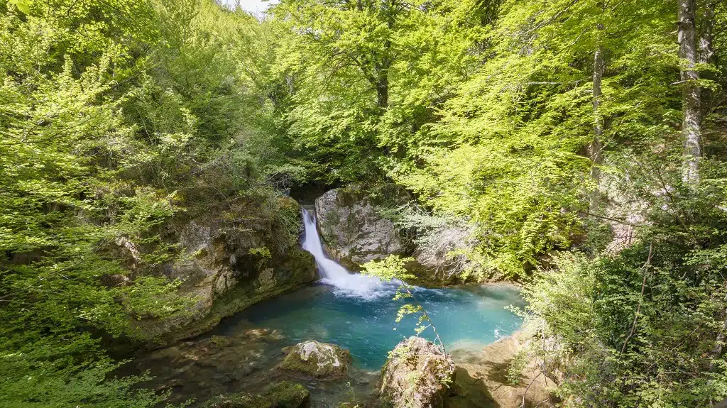 Nacedero del Urederra, Estella-Lizarra